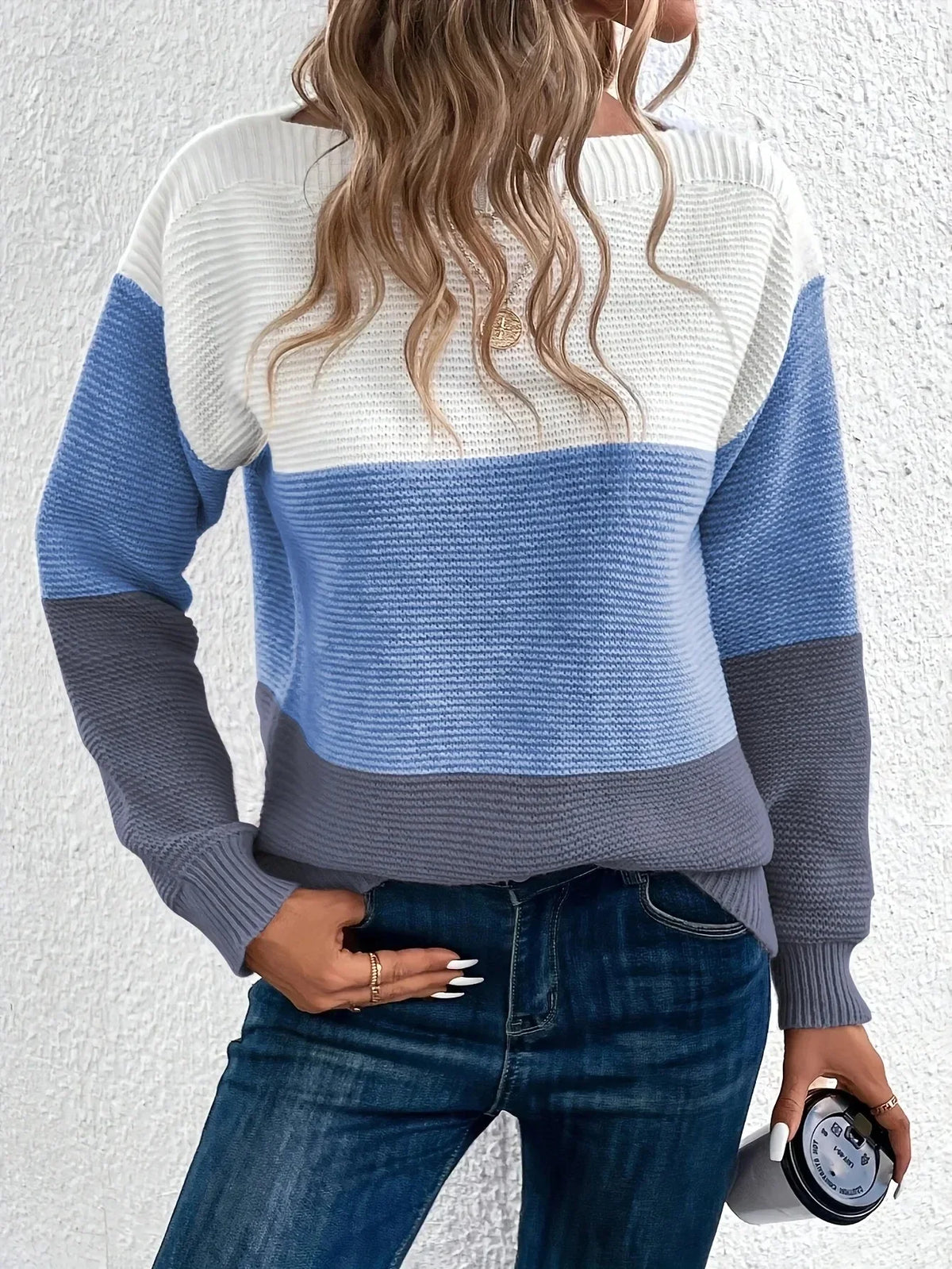 Colour Block Knit Sweater with Round Neck and Long Sleeves